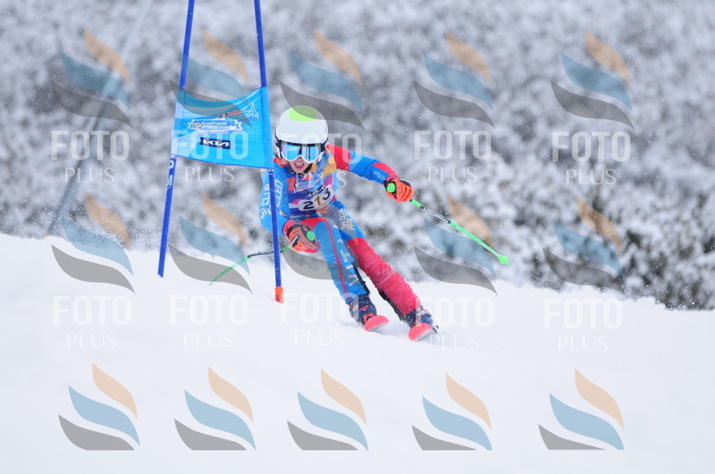 C2278 | holidayphoto