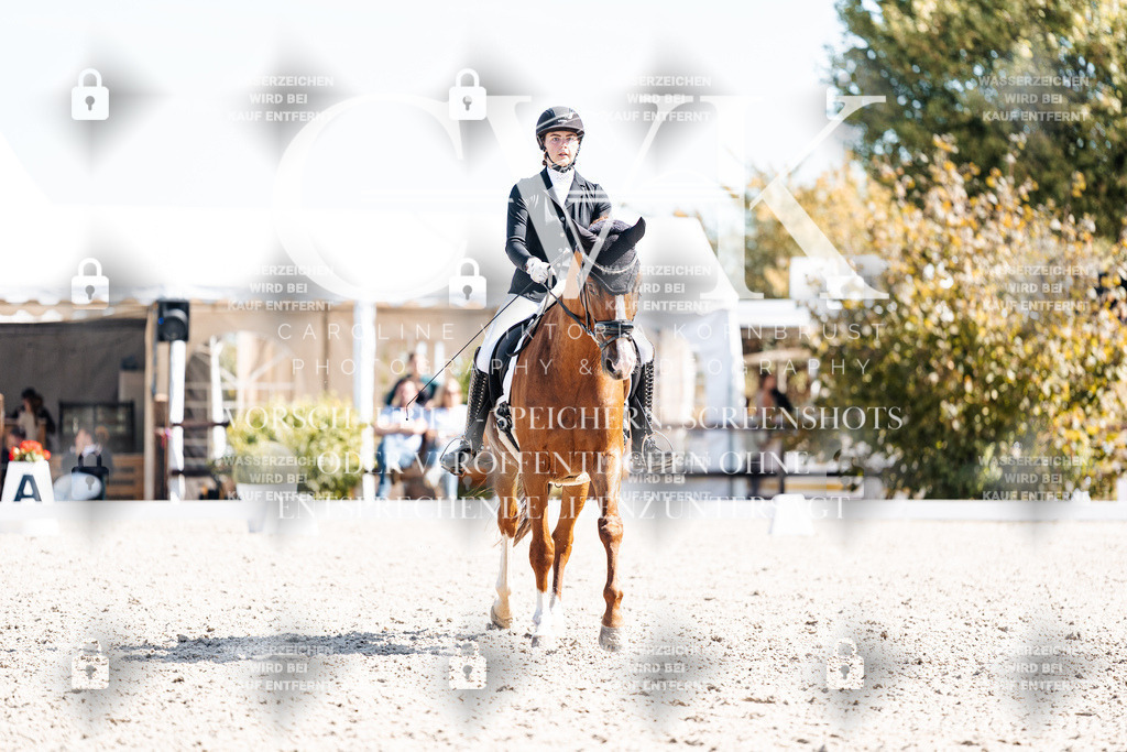 CK909524 | Turnierfotografie Pferdefotografie Trier Rheinland-Pfalz Pferdesport Reitsport Tierfotografie Sportfotografie Pferdevideo Pferdevideografie Equestrianvideography equestrianphotography  - Realisiert mit Pictrs.com