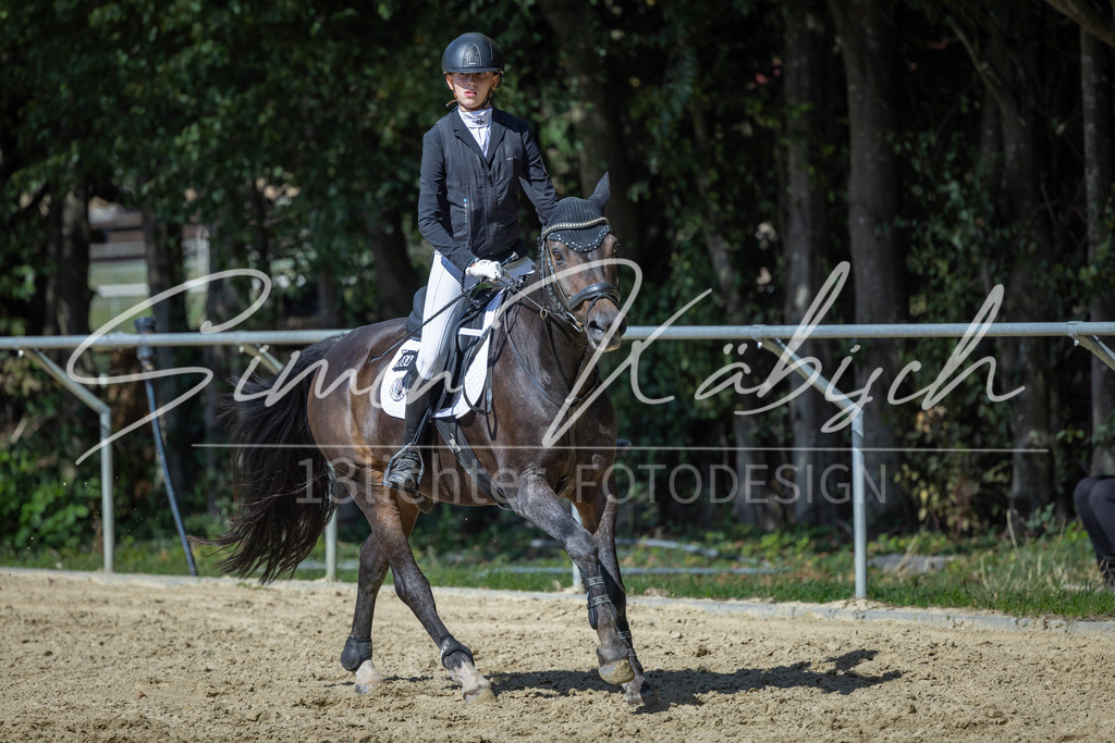 20260905-_3LI9446 | Tierfotografie Pferde, Hunde, Katzen, Haustiere.
Turnierfotografie Reitturniere, Reiten, Springreiten, Dressur in Hanau, dem Main-Kinzig-Kreis und dem Rhein-Main- Gebiet um Frankfurt