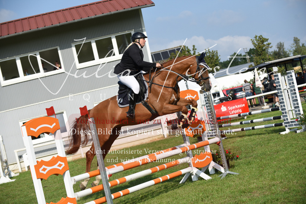 DSC_8706 | Pferde- und Turnierfotografie in Westsachsen. Pferdeportraits, Auftragszeichnungen und intuitive Kunst.