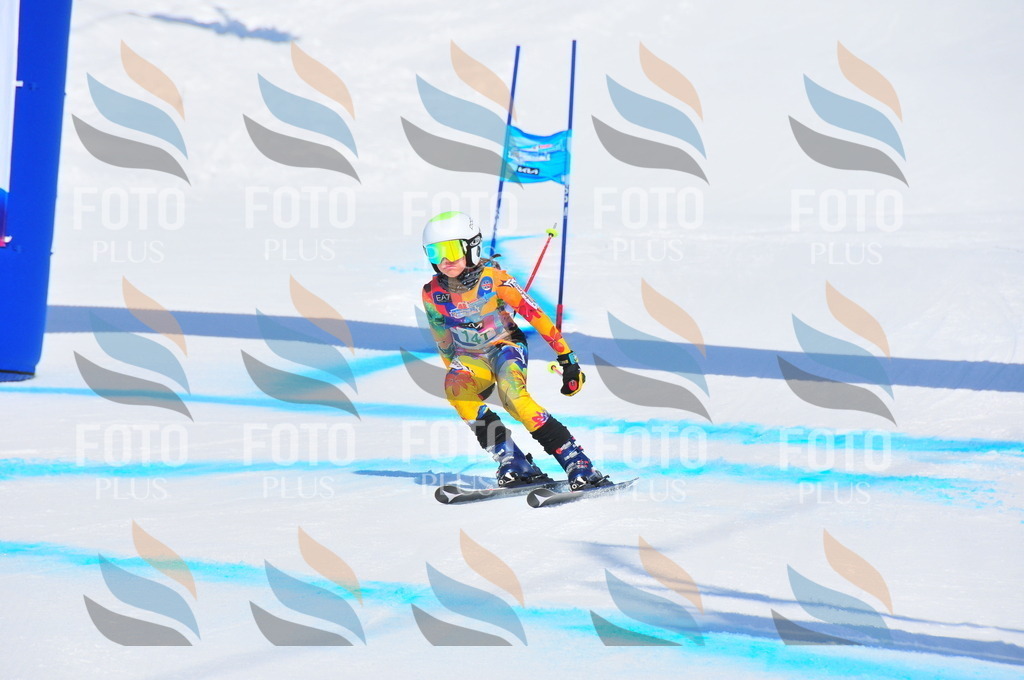 DSC_1257 | holidayphoto