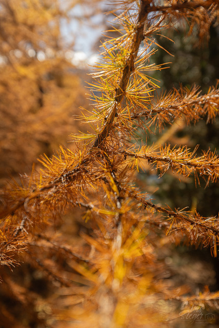 _R520368 | Shop von Iris Steger Photography, Landschaft, Reisen, Details und Städte.