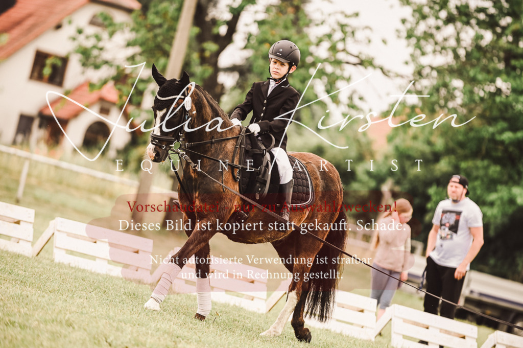 DSC_5296 | Pferde- und Turnierfotografie in Westsachsen. Pferdeportraits, Auftragszeichnungen und intuitive Kunst.
