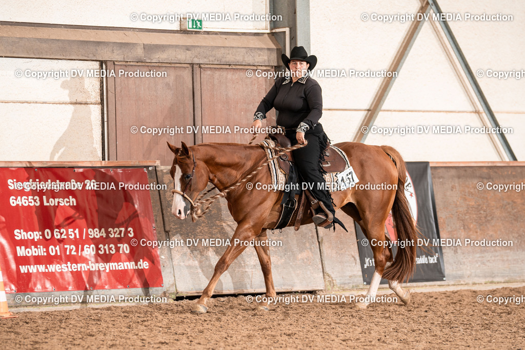 LM Heiligenwald Tag 2-1179 | dv-media-shop - Realisiert mit Pictrs.com