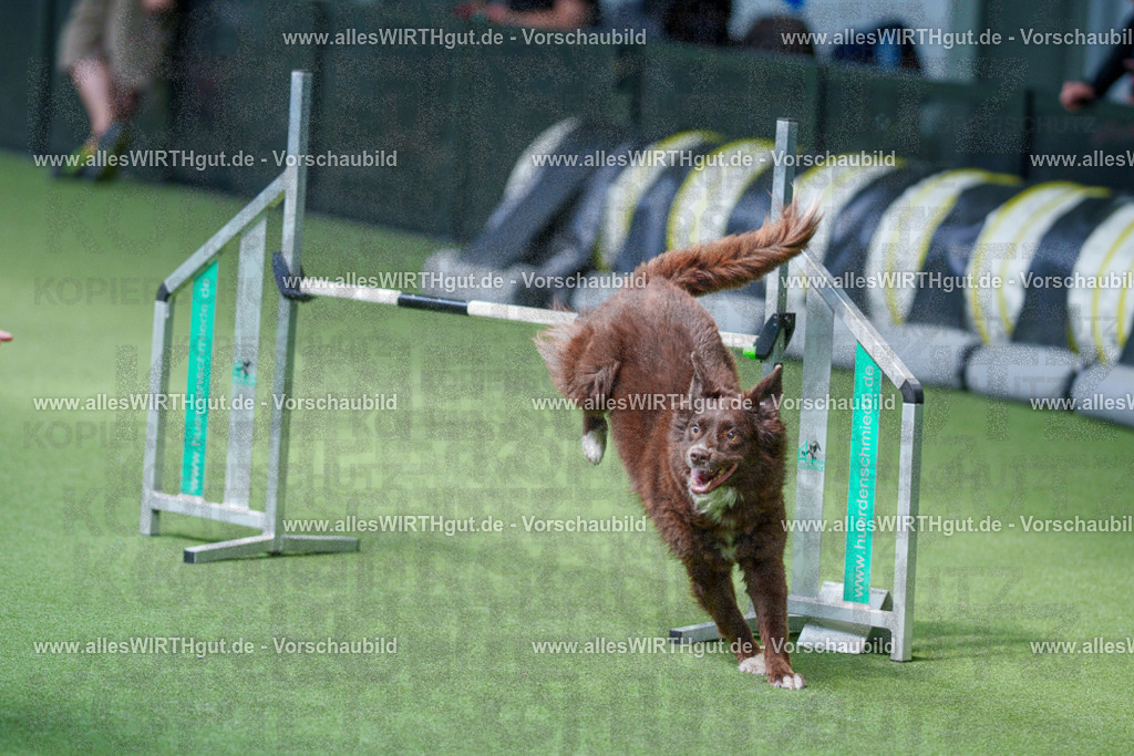 @allesWIRTHgut_Tierfotografie - www.allesWIRTHgut.de - 2604261355-7R502969 | Professionelle Tierfotografie in Mönchengladbach von Daniel Wirth (allesWIRTHgut). Liebevolle & natürliche Bilder von Hunden & Katzen für unvergessliche Erinnerungen.