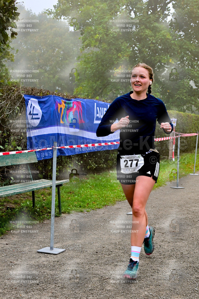 Z8N_2127 | la-psv - Realisiert mit Pictrs.com