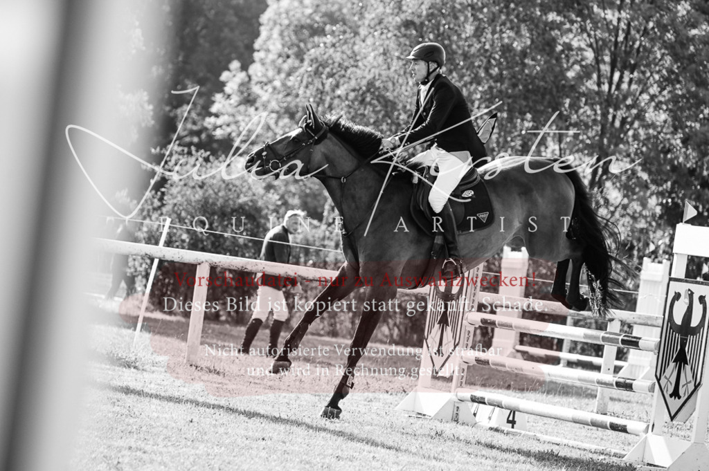 DSC_7474 | Pferde- und Turnierfotografie in Westsachsen. Pferdeportraits, Auftragszeichnungen und intuitive Kunst.