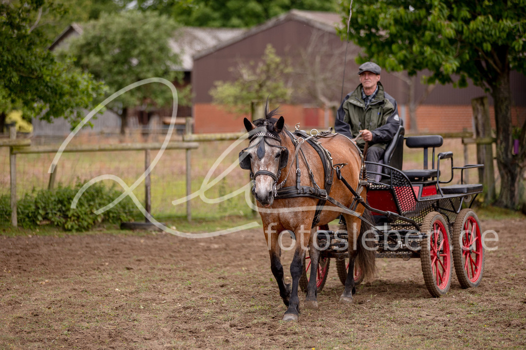 846A0734 | fotosleben - Realisiert mit Pictrs.com