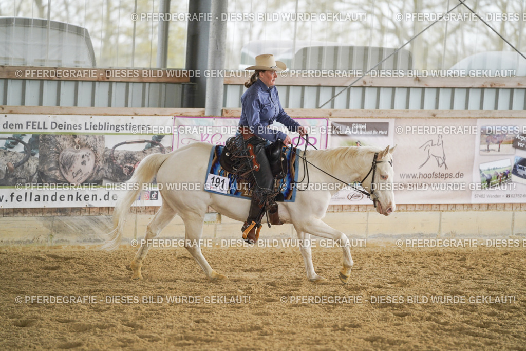 DSC04438 | Pferdegrafie