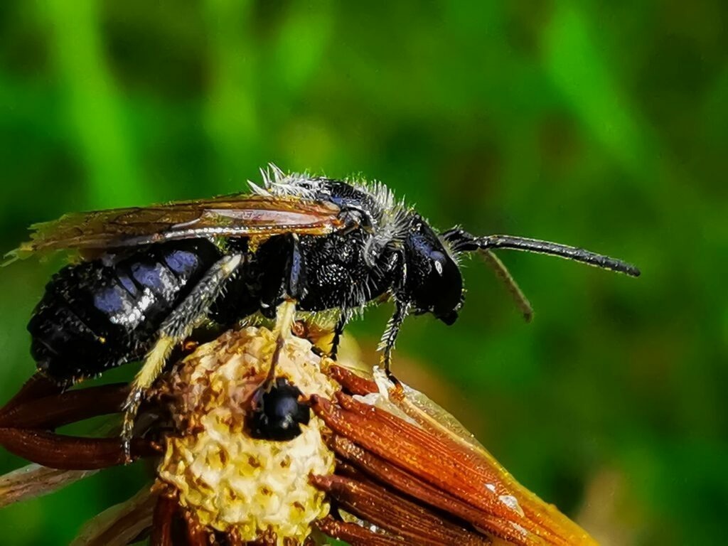 PSX_20220915_141205 | mtkfoto_ - Realisiert mit Pictrs.com