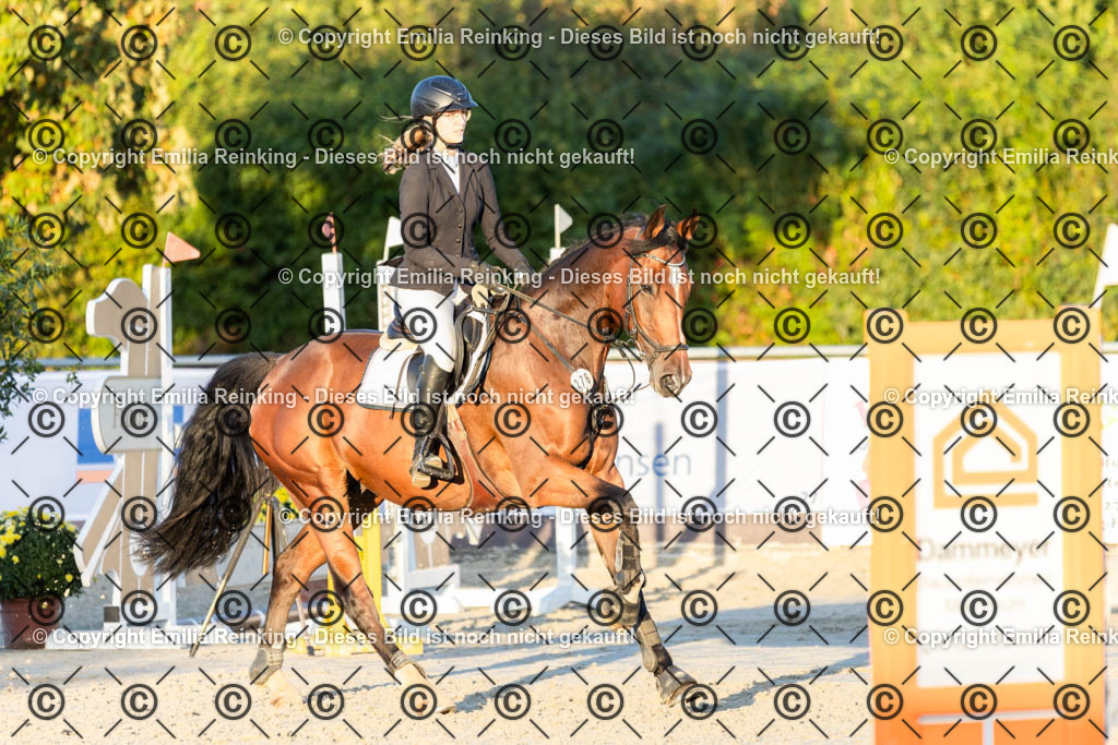 CL5A4500 | Emilia Reinking Fotografie - Realisiert mit Pictrs.com