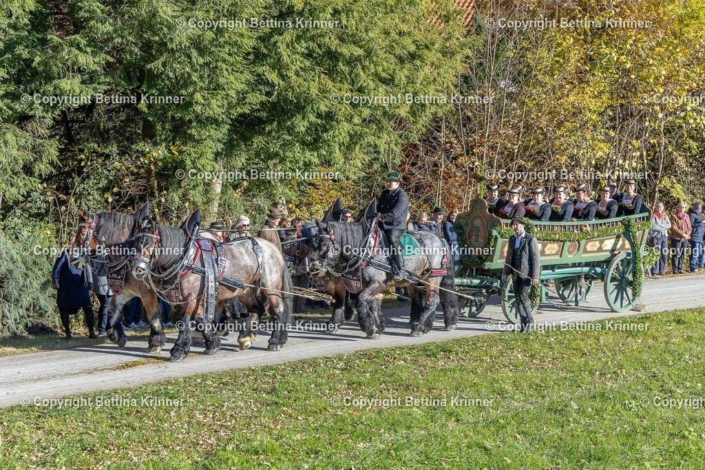 LBT25-519 | foto-bettina-krinner - Realisiert mit Pictrs.com
