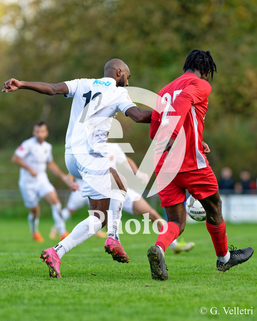 DZ8_9333 | Velletri Photo