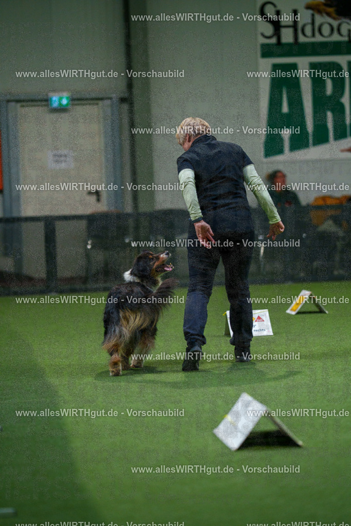 7R504255 | Professionelle Tierfotografie in Mönchengladbach von Daniel Wirth (allesWIRTHgut). Liebevolle & natürliche Bilder von Hunden & Katzen für unvergessliche Erinnerungen.