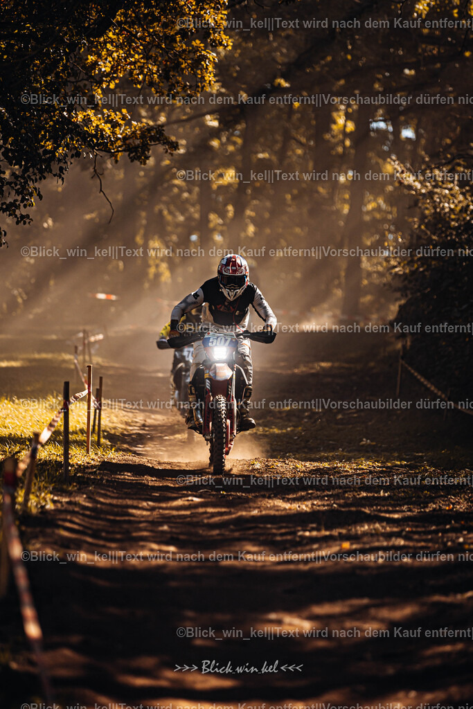 E68A6137 | blick_win_kel