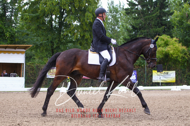 DKP41944 | Turniersportfotografie; Pferdefotografie; Dressurfotografie