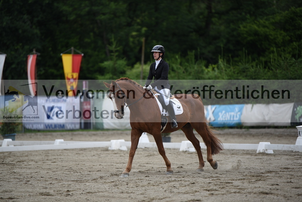 DSC_6216 | equestrian-live-com