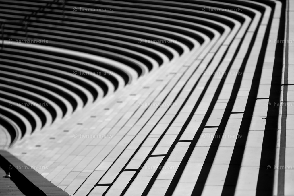 Hamurg_Arts-013 | Photo Foto Kunst Art schwarzweiss Bilder Rheine Münster Berlin Blumen 