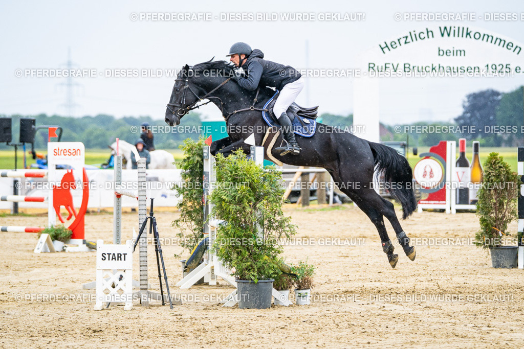 DSC08493 | Pferdegrafie