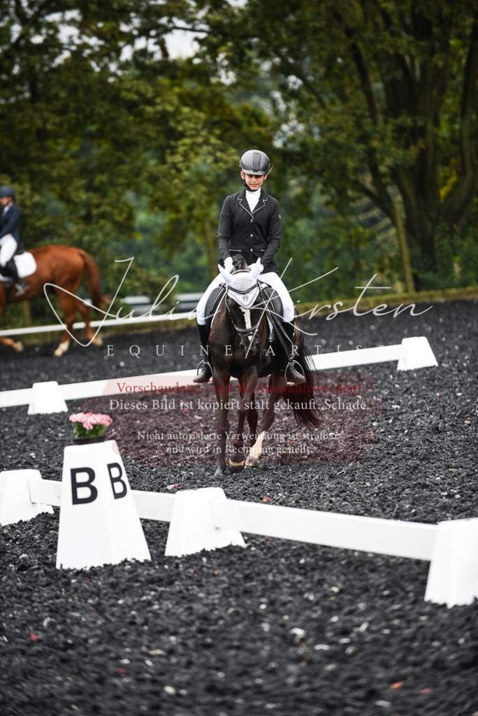 DSC_2746 | Pferde- und Turnierfotografie in Westsachsen. Pferdeportraits, Auftragszeichnungen und intuitive Kunst.
