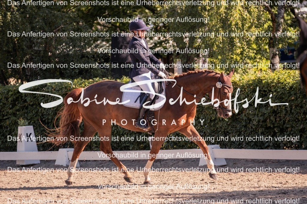 2025_05_31_DSCF3022 | People- und Tierfotografie, Imageaufnahmen, Veranstaltungsfotografie und Wandbilder aus der Natur ★ Made in Germany ✔️ Druck + Downloads ✔️ Naturfotografie in Top Qualität ★ schneller Versand, weltweite Lieferung! - Realisiert mit Pictrs.com