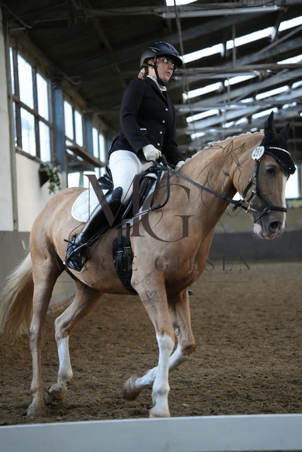 DSC04668 | Pferdefotografie in Köln und Umgebung – emotionale Pferdeshootings, Turnierfotografie und besondere Momente zwischen Pferd und Mensch. - Realisiert mit Pictrs.com