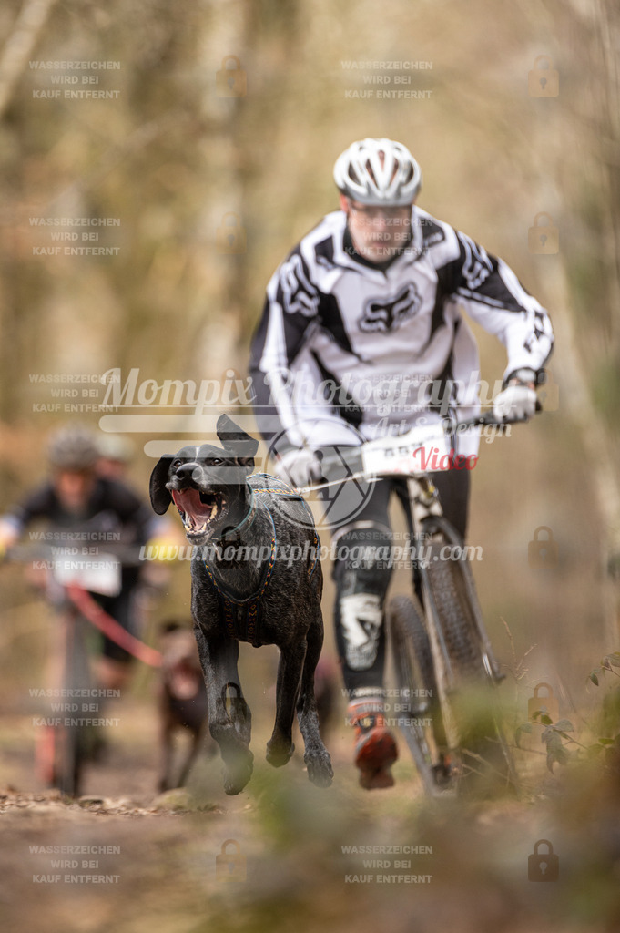 SPA_2023_SAM_Scooter-16 | PayLife
