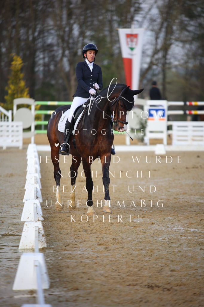 IMGT8535 | pl-fotografie