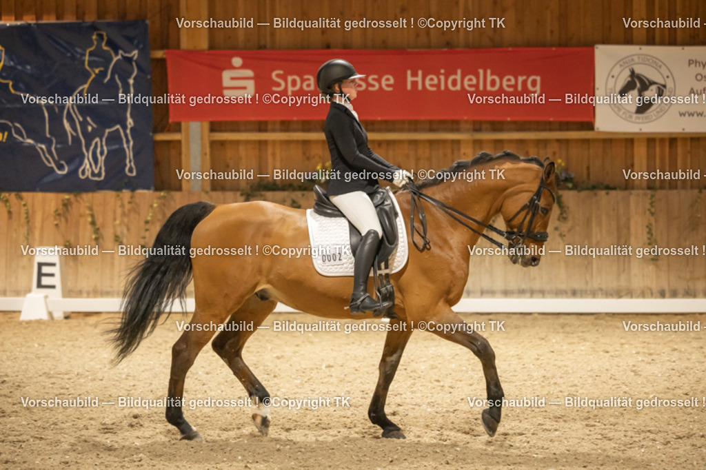 _D5A3986 | Emotionale Pferde- & People-Fotografie rund um Heidelberg, Leimen & Umgebung. Natürliche Fotos von Pferd, Mensch & Familie. Jetzt Termin sichern!