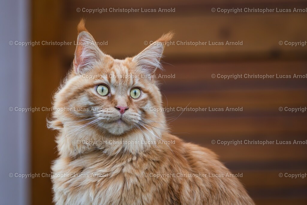 04 | bildkomponist - Realisiert mit Pictrs.com