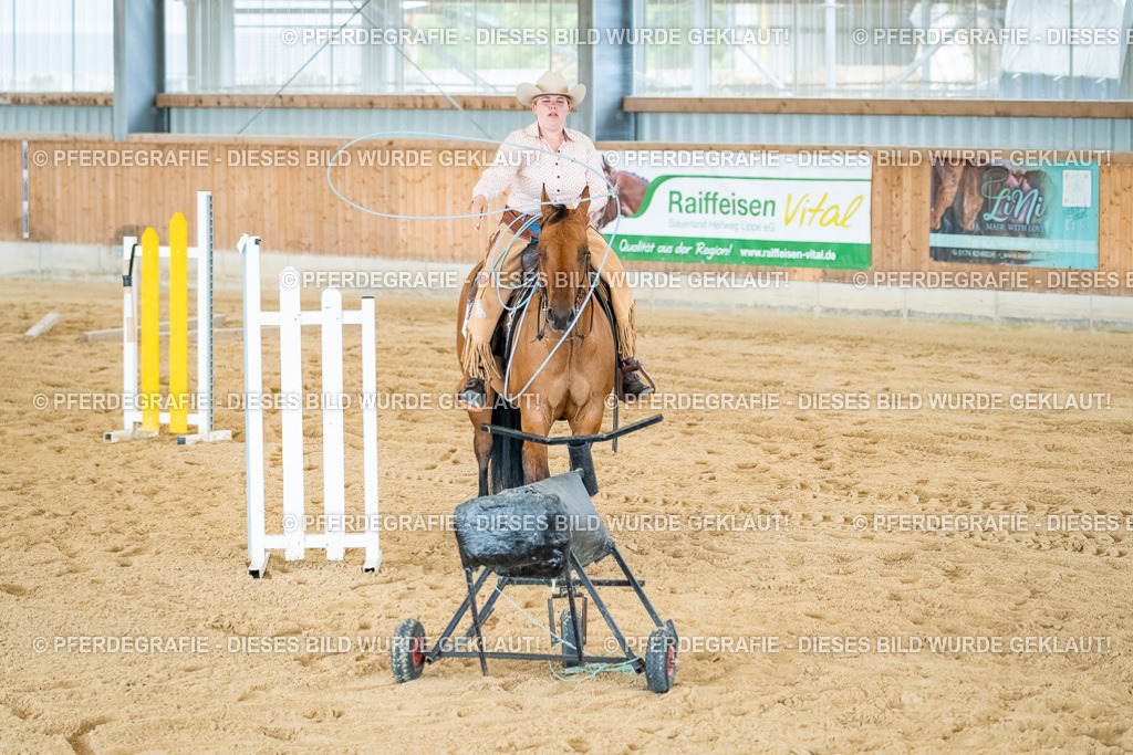 DSC07330 | Pferdegrafie