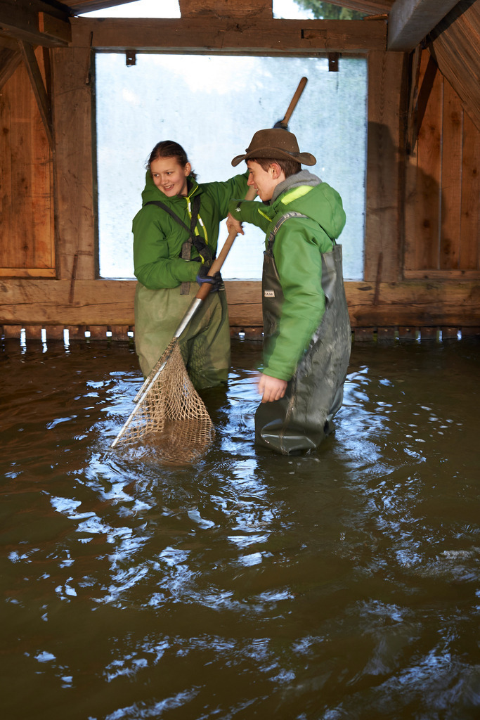 Yupitaze Fischtextil | Litschau, Austria - April 02, 2016: Yupitaze Fischtextil; die Karpfen werden mit einem Kescher eingefangen. - Realisiert mit Pictrs.com