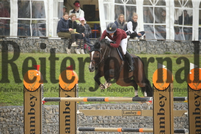 Villingendorf_2022_Prfg.Nr.08_zwei Phasen_Springprfg.Kl.M_Youngster_Elisabeth Meyer_Vaentina M 4 (5) | Alle Fotos der Reiterjournal Fotografin Doris Matthaes im Reiterjournal Online-Fotoshop. - Realisiert mit Pictrs.com