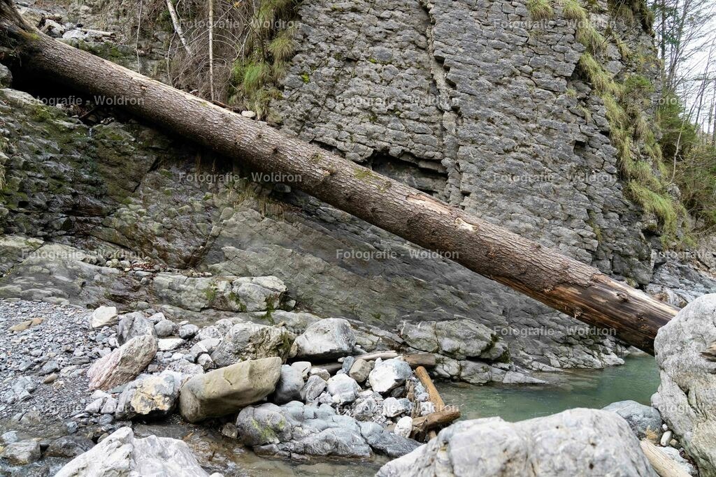 20221109 Rappenlochschlucht Dornbirn-10 | Fotografie Woldron
