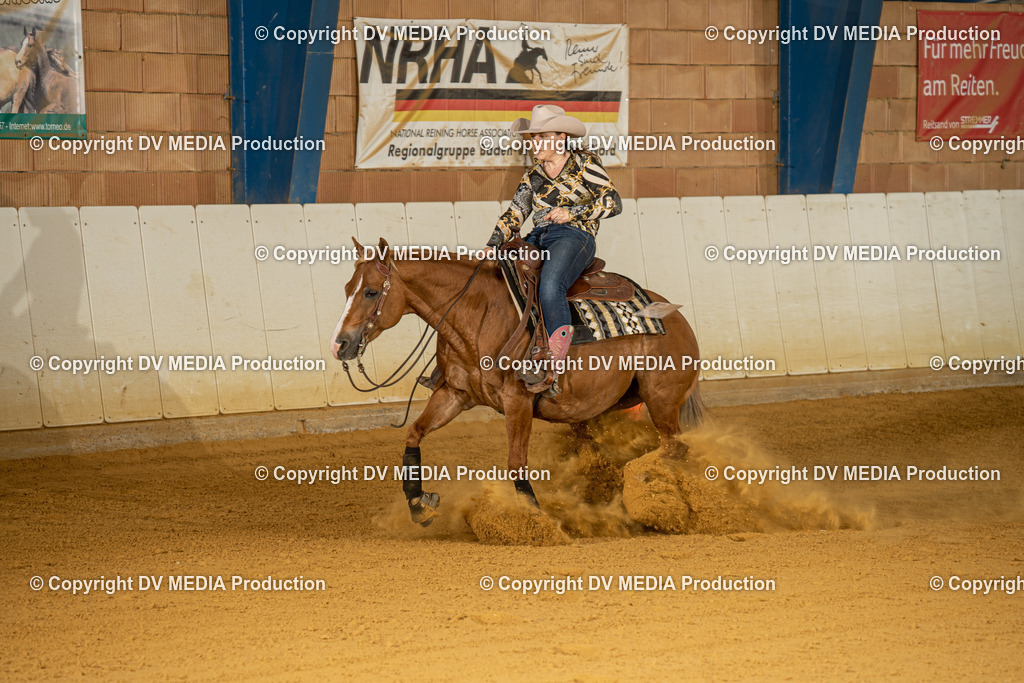 MIT00142 | dv-media-shop - Realisiert mit Pictrs.com