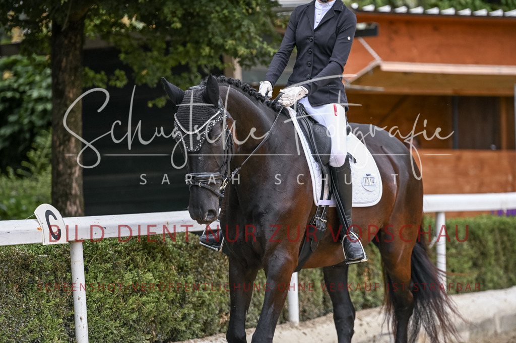 Schugtsche-Aluta25-43.EDressur -121 | Schugtsche Fotografie - Realisiert mit Pictrs.com