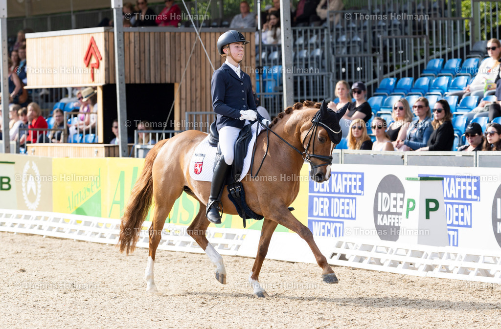 TH_602-BUCK Mats (GER)_ Dancing Sun HF_17458 | Deutsches Spring- und Dressur-Derby 2024 am 09.05.24 in Hamburg, 602BUCK Mats (GER), Dancing Sun HF