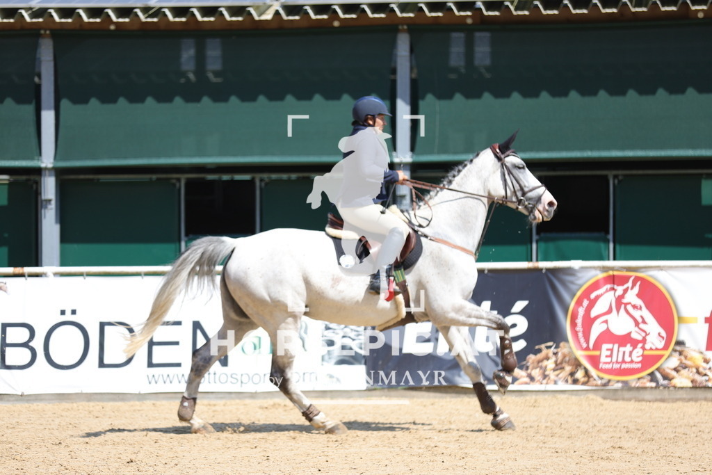 0P6A6018 | Willkommen bei Brunnmayr - Design & Fotografie – Ihrem Spezialisten für Reitturniere und Pferdeveranstaltungen in Oberösterreich, Salzburg und Bayern! Seit über 17 Jahren sind wir leidenschaftlich dabei.