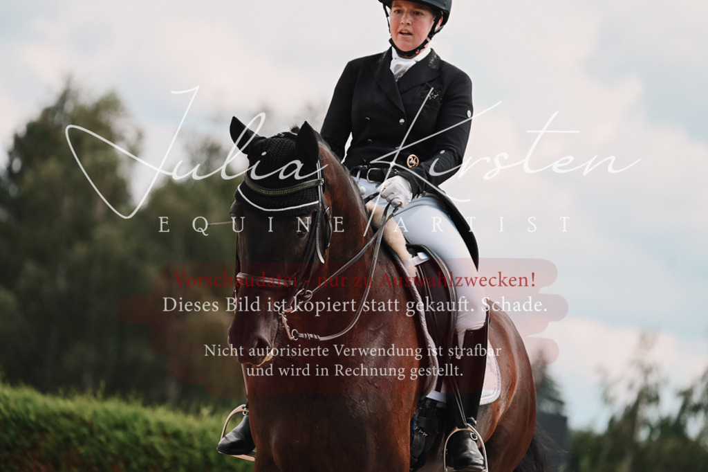 DSC_4254 | Pferde- und Turnierfotografie in Westsachsen. Pferdeportraits, Auftragszeichnungen und intuitive Kunst.