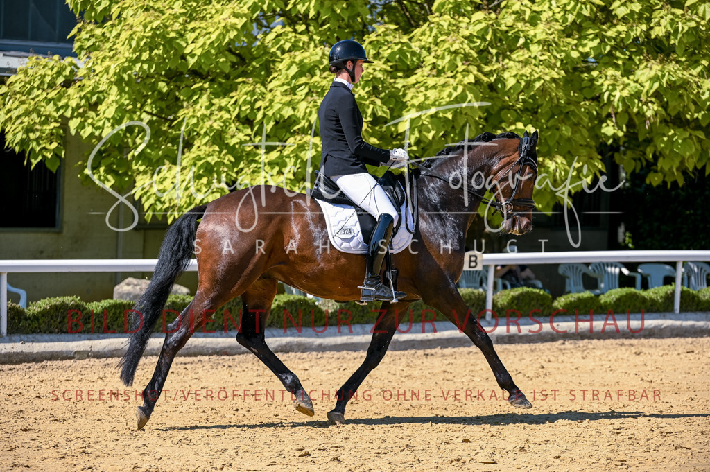 Schugtsche-Aluta25-50.Dressurpferdeprf.L-55 | Schugtsche Fotografie - Realisiert mit Pictrs.com