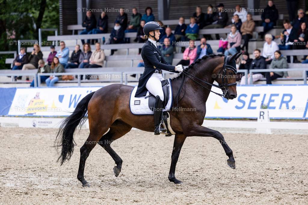 TH_942 Frieda NRW (GER)_ Greta Busacker _31994 | Elmloher Reitertage 2025 am 03.08.25 in Elmlohe,