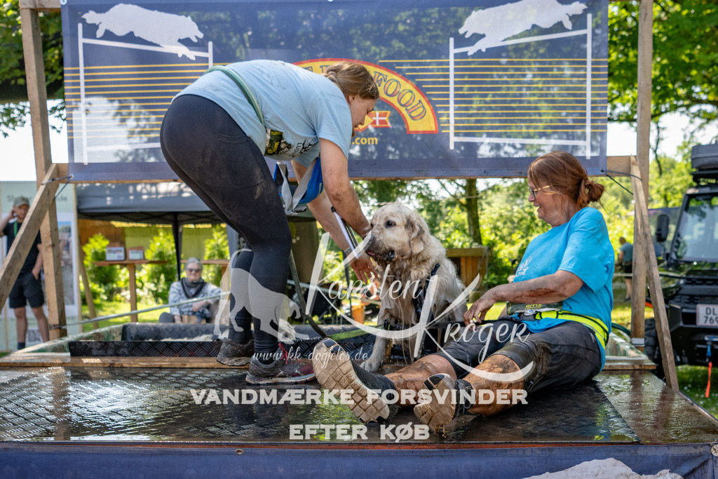 1340_ZZ91806 | kk-dogfotos