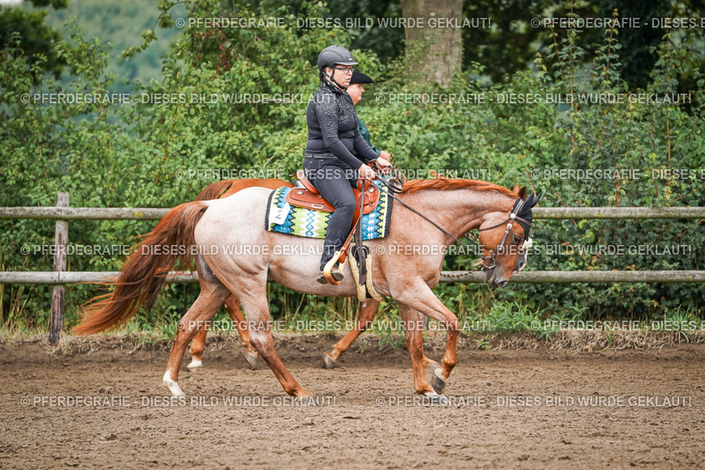 DSC01788 | Pferdegrafie