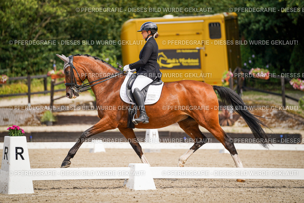 DSC05346 | Pferdegrafie