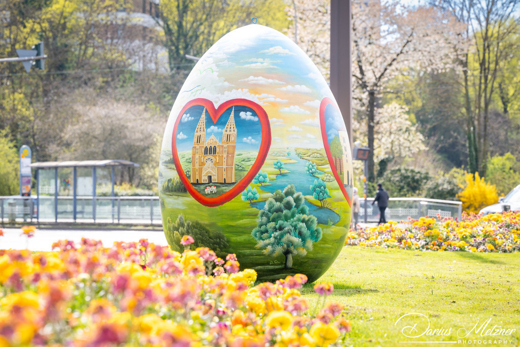 DSC_2022 | Fotografien, Fotos und Bilder aus Mainz, Frankfurt, Wiesbaden und anderen Orten auf der Welt - Fotografiert von Darius Metzner