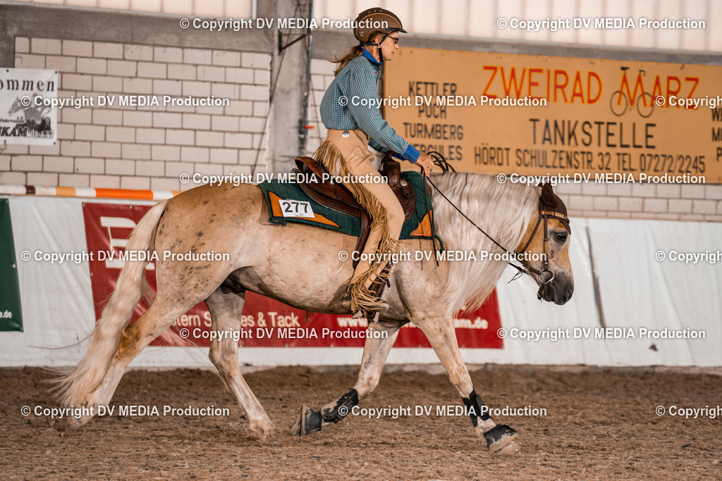 ZH300334 | dv-media-shop - Realisiert mit Pictrs.com