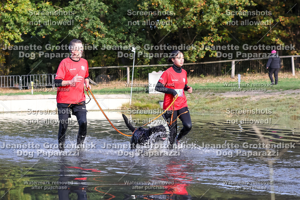 Dog Paparazzi - Strongdog 10-25-8397 | Dog Paparazzi Jeanette Grottendiek Fotografie & Videografie - Realisiert mit Pictrs.com