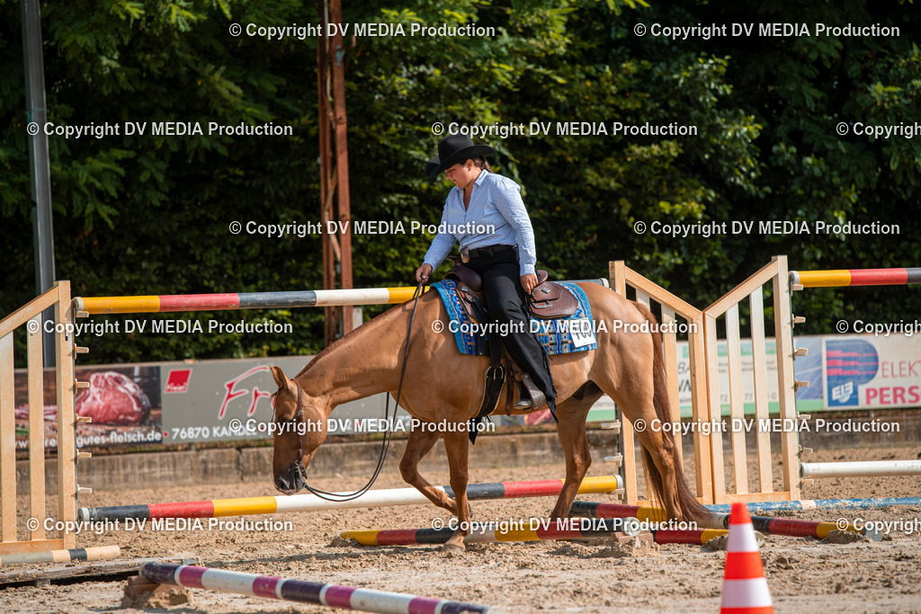 ZS3_9279 | dv-media-shop - Realisiert mit Pictrs.com