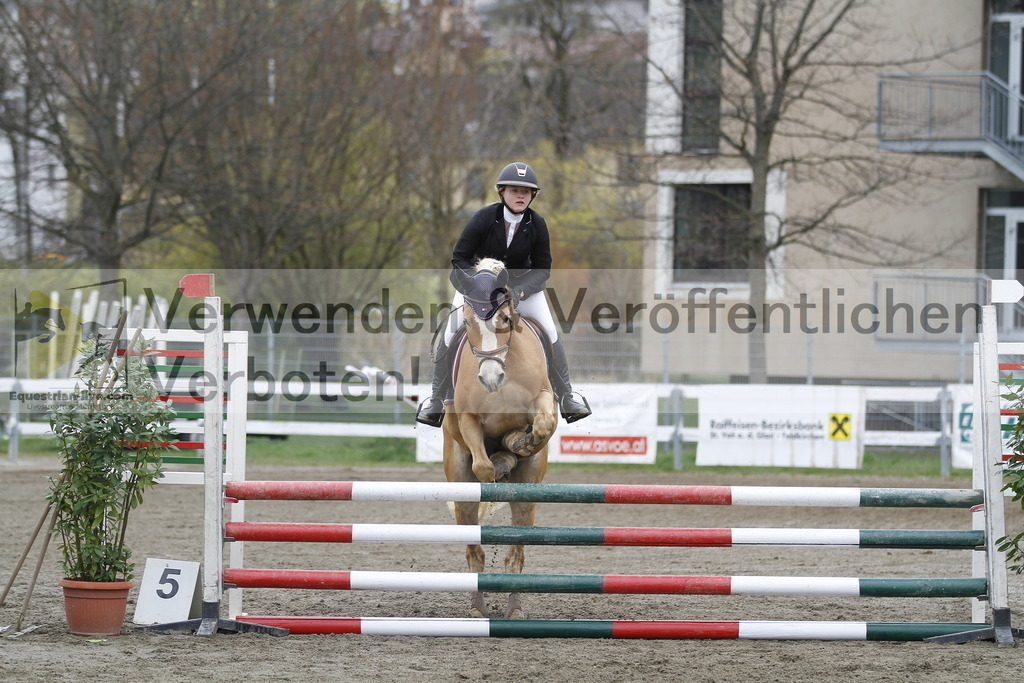 _MG_4546 | equestrian-live-com
