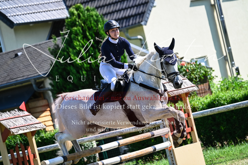 DSC_1411 | Pferde- und Turnierfotografie in Westsachsen. Pferdeportraits, Auftragszeichnungen und intuitive Kunst.